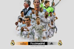 国家队制定中长期发展规划设定阶段性目标指标，国家中长期发展规划纲要提出时间是